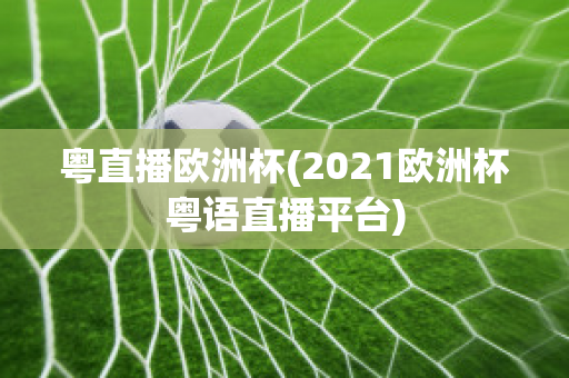 粤直播欧洲杯(2021欧洲杯粤语直播平台)