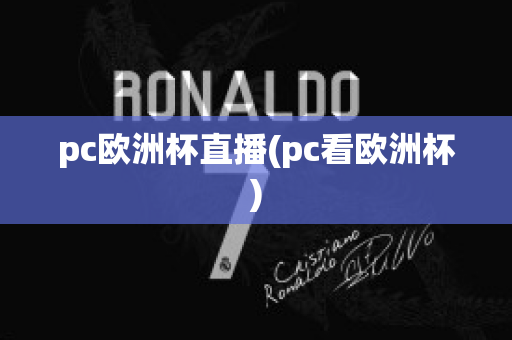 pc欧洲杯直播(pc看欧洲杯)