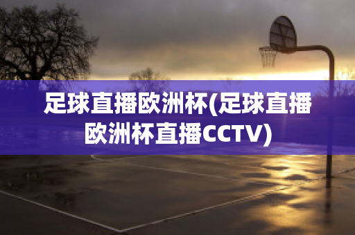 足球直播欧洲杯(足球直播欧洲杯直播CCTV)