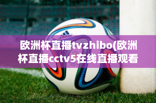 欧洲杯直播tvzhibo(欧洲杯直播cctv5在线直播观看)