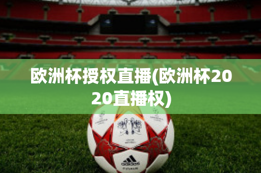 欧洲杯授权直播(欧洲杯2020直播权)