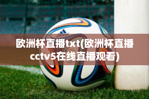 欧洲杯直播txt(欧洲杯直播cctv5在线直播观看)