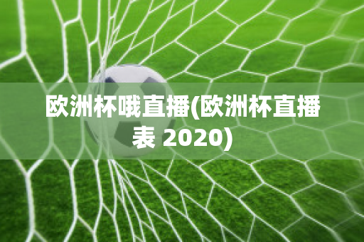 欧洲杯哦直播(欧洲杯直播表 2020)