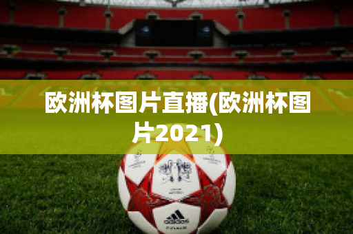 欧洲杯图片直播(欧洲杯图片2021)