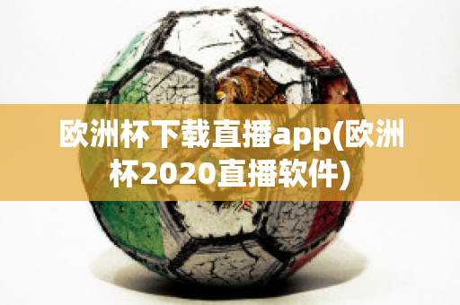 欧洲杯下载直播app(欧洲杯2020直播软件)