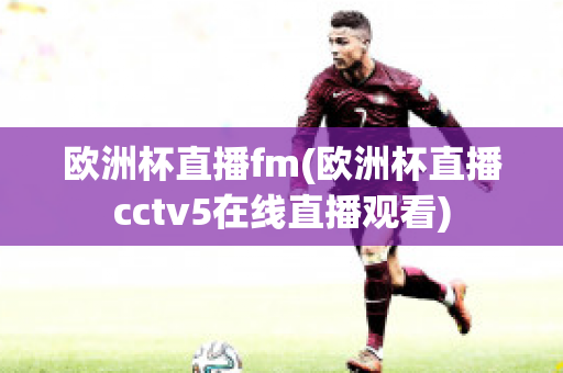 欧洲杯直播fm(欧洲杯直播cctv5在线直播观看)