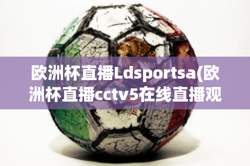 欧洲杯直播Ldsportsa(欧洲杯直播cctv5在线直播观看)