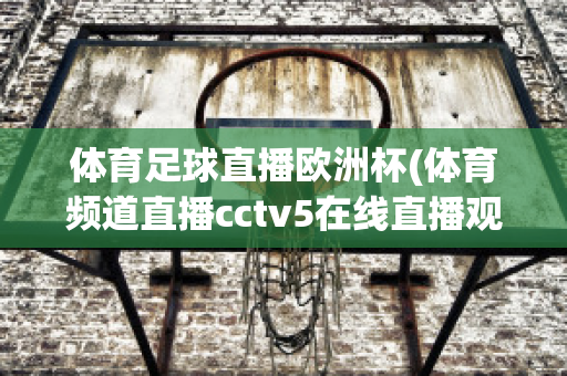 体育足球直播欧洲杯(体育频道直播cctv5在线直播观看足球)