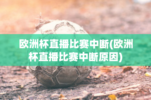 欧洲杯直播比赛中断(欧洲杯直播比赛中断原因)