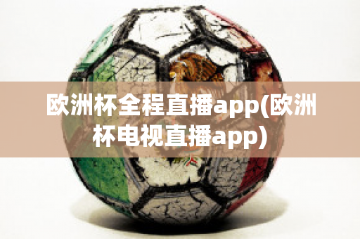 欧洲杯全程直播app(欧洲杯电视直播app)