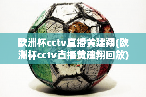 欧洲杯cctv直播黄建翔(欧洲杯cctv直播黄建翔回放)