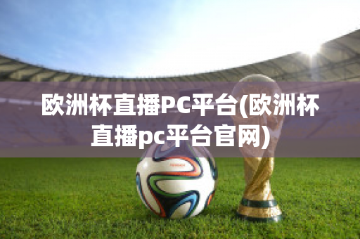 欧洲杯直播PC平台(欧洲杯直播pc平台官网)