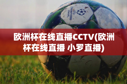 欧洲杯在线直播CCTV(欧洲杯在线直播 小罗直播)