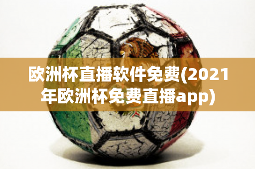 欧洲杯直播软件免费(2021年欧洲杯免费直播app)