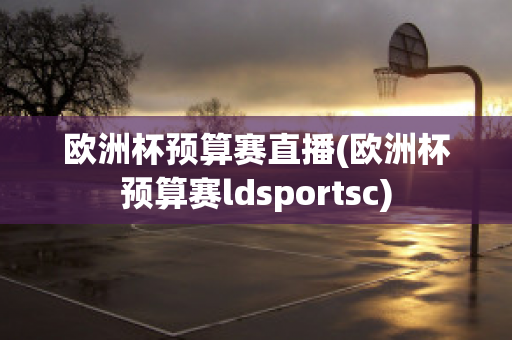 欧洲杯预算赛直播(欧洲杯预算赛ldsportsc)