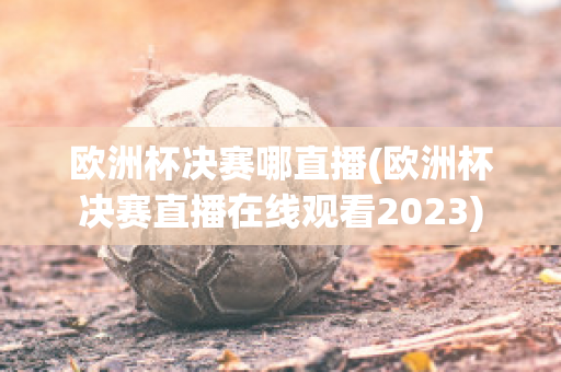 欧洲杯决赛哪直播(欧洲杯决赛直播在线观看2023)