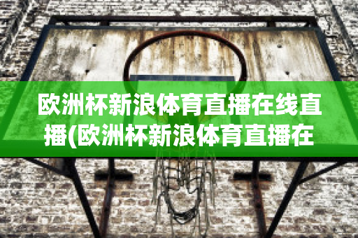 欧洲杯新浪体育直播在线直播(欧洲杯新浪体育直播在线直播视频)