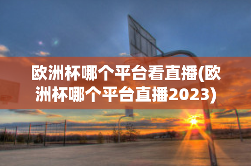 欧洲杯哪个平台看直播(欧洲杯哪个平台直播2023)