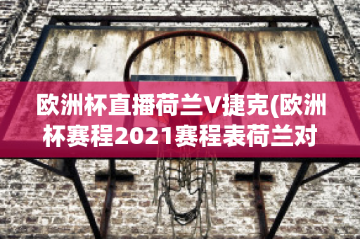 欧洲杯直播荷兰V捷克(欧洲杯赛程2021赛程表荷兰对捷克)