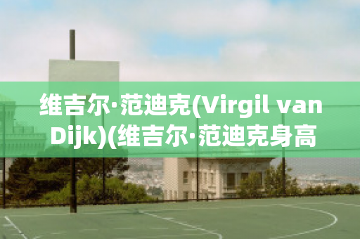 维吉尔·范迪克(Virgil van Dijk)(维吉尔·范迪克身高)