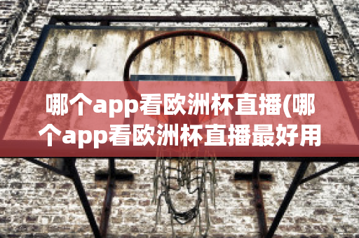 哪个app看欧洲杯直播(哪个app看欧洲杯直播最好用)