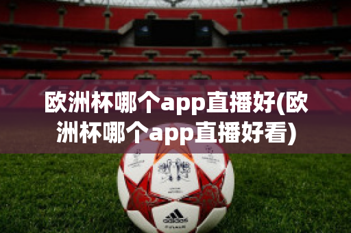 欧洲杯哪个app直播好(欧洲杯哪个app直播好看)