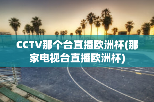 CCTV那个台直播欧洲杯(那家电视台直播欧洲杯)