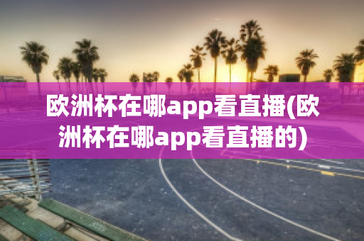 欧洲杯在哪app看直播(欧洲杯在哪app看直播的)