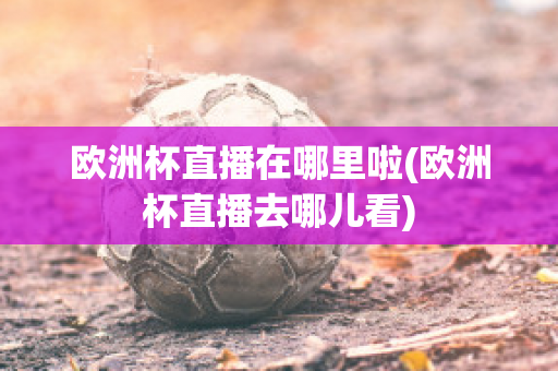 欧洲杯直播在哪里啦(欧洲杯直播去哪儿看)