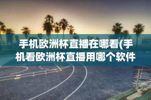 手机欧洲杯直播在哪看(手机看欧洲杯直播用哪个软件看)