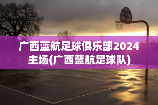广西蓝航足球俱乐部2024主场(广西蓝航足球队)
