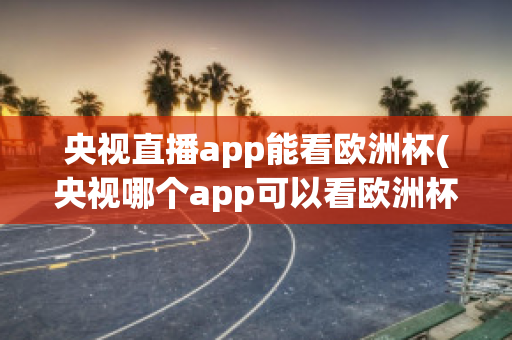 央视直播app能看欧洲杯(央视哪个app可以看欧洲杯)