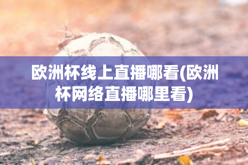 欧洲杯线上直播哪看(欧洲杯网络直播哪里看)