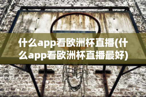 什么app看欧洲杯直播(什么app看欧洲杯直播最好)