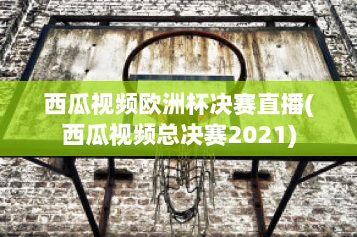 西瓜视频欧洲杯决赛直播(西瓜视频总决赛2021)