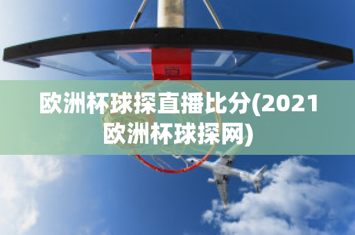 欧洲杯球探直播比分(2021欧洲杯球探网)