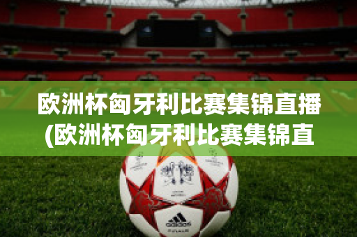 欧洲杯匈牙利比赛集锦直播(欧洲杯匈牙利比赛集锦直播视频)