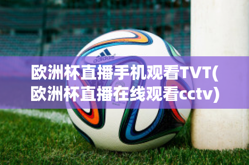 欧洲杯直播手机观看TVT(欧洲杯直播在线观看cctv)