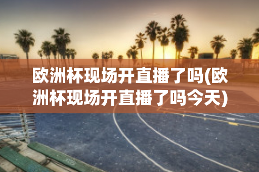 欧洲杯现场开直播了吗(欧洲杯现场开直播了吗今天)