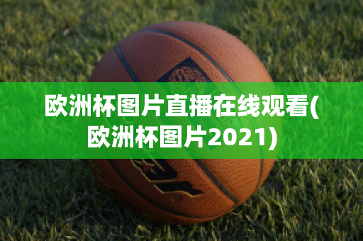 欧洲杯图片直播在线观看(欧洲杯图片2021)