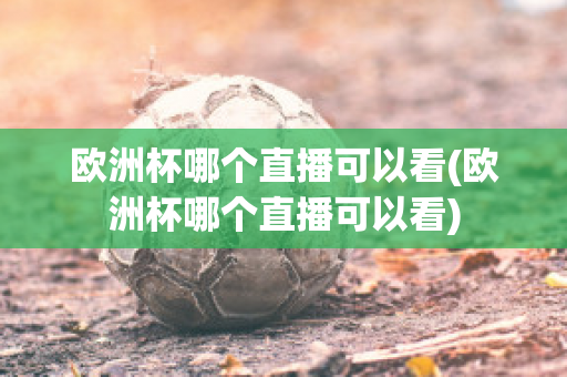 欧洲杯哪个直播可以看(欧洲杯哪个直播可以看)