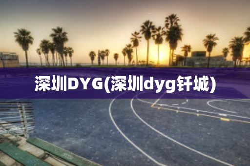 深圳DYG(深圳dyg钎城)