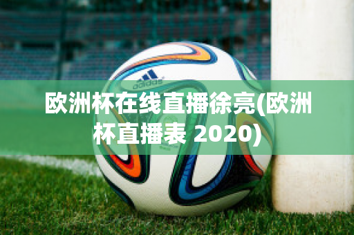 欧洲杯在线直播徐亮(欧洲杯直播表 2020)