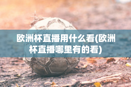 欧洲杯直播用什么看(欧洲杯直播哪里有的看)