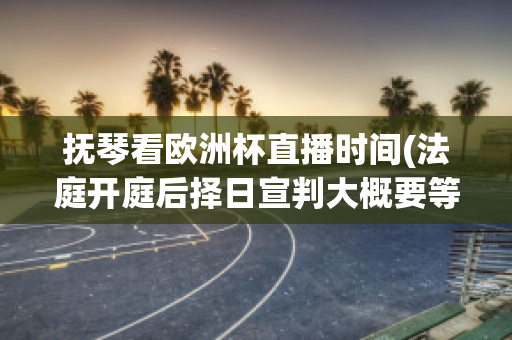 抚琴看欧洲杯直播时间(法庭开庭后择日宣判大概要等多久下判决书)