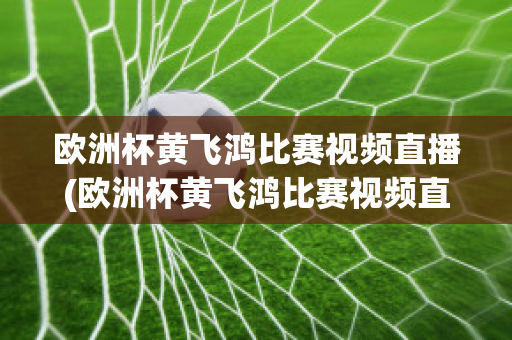 欧洲杯黄飞鸿比赛视频直播(欧洲杯黄飞鸿比赛视频直播在线观看)