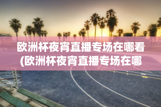 欧洲杯夜宵直播专场在哪看(欧洲杯夜宵直播专场在哪看回放)