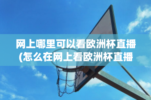 网上哪里可以看欧洲杯直播(怎么在网上看欧洲杯直播)