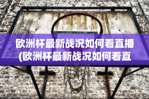 欧洲杯最新战况如何看直播(欧洲杯最新战况如何看直播回放)