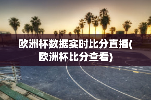 欧洲杯数据实时比分直播(欧洲杯比分查看)